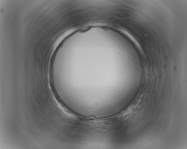 X0000067380861200604211606