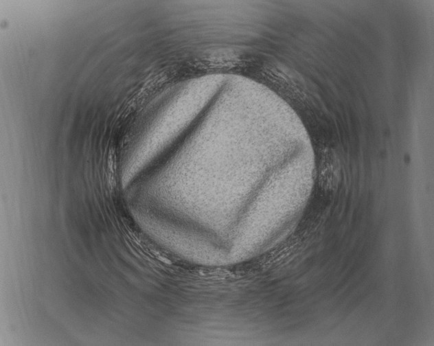 X0000067380866200604211605