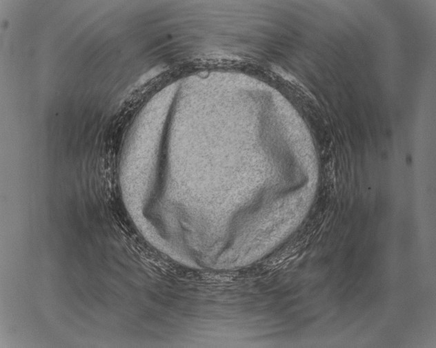 X0000067380870200604211605
