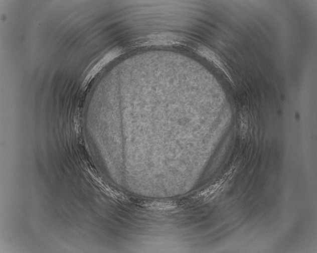 X0000067380874200604211605