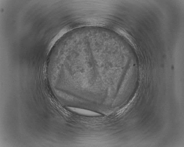 X0000067380875200604211605