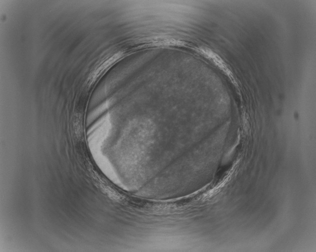 X0000067380889200604211605