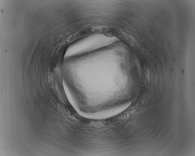 X0000067380914200604211604