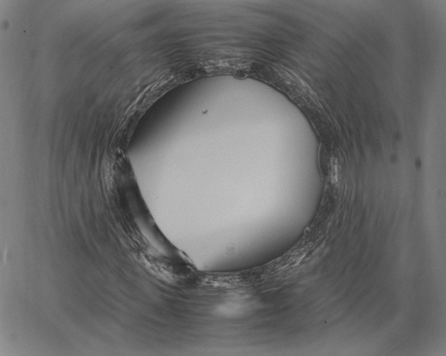 X0000067380915200604211604
