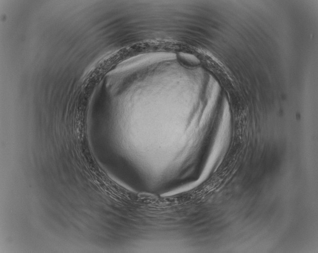 X0000067380919200604211604
