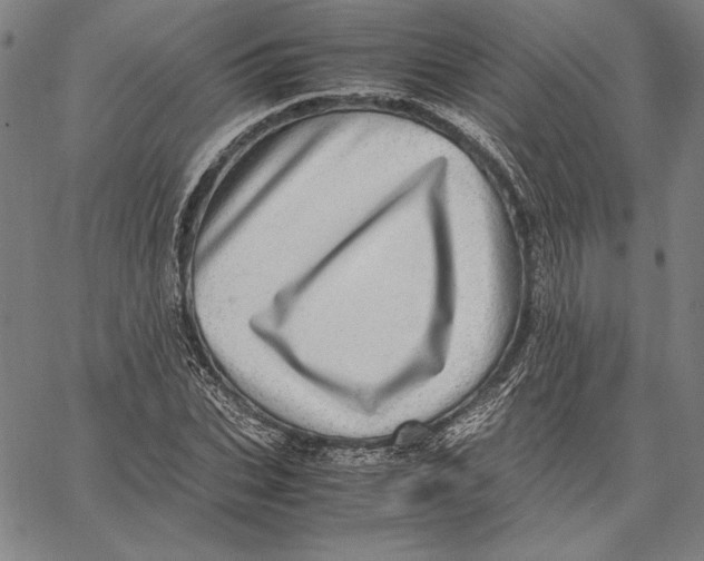 X0000067380927200604211604