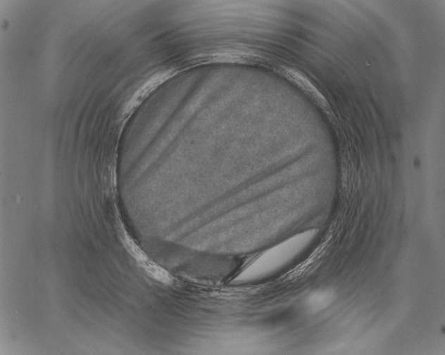 X0000067380938200604211604