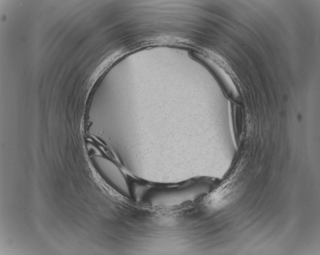 X0000067380946200604211604