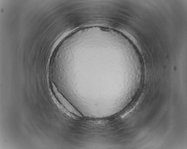 X0000067380949200604211604
