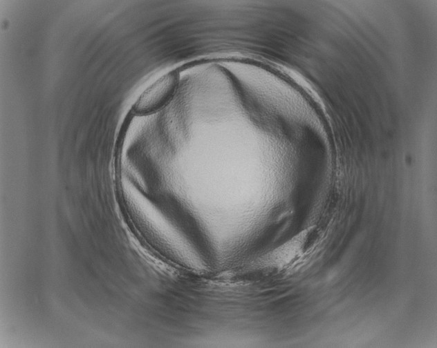 X0000067380951200604211604