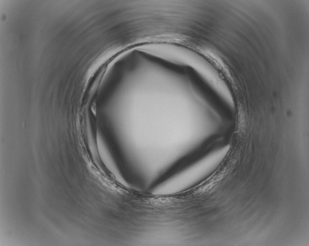 X0000067380952200604211604