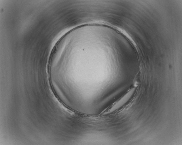 X0000067380959200604211604