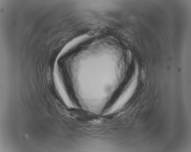 X0000067380963200604211604
