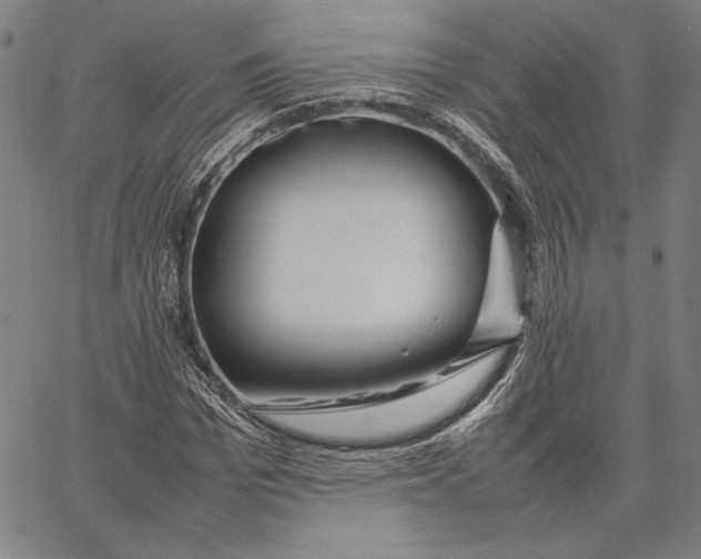 X0000067380969200604211603