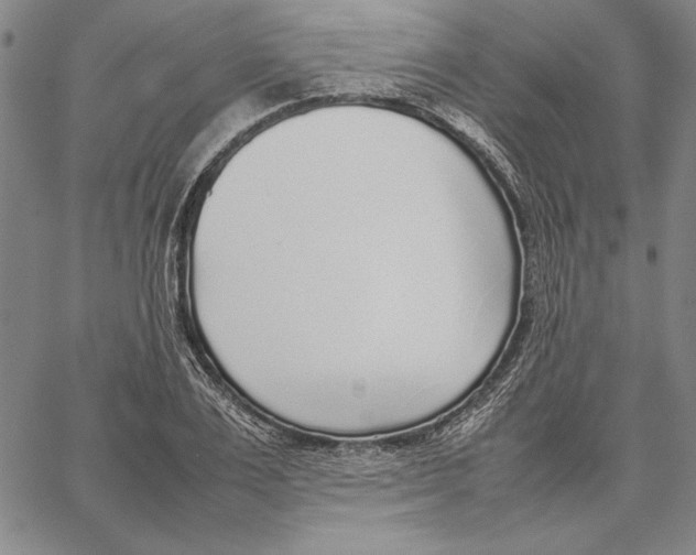 X0000067380983200604211603