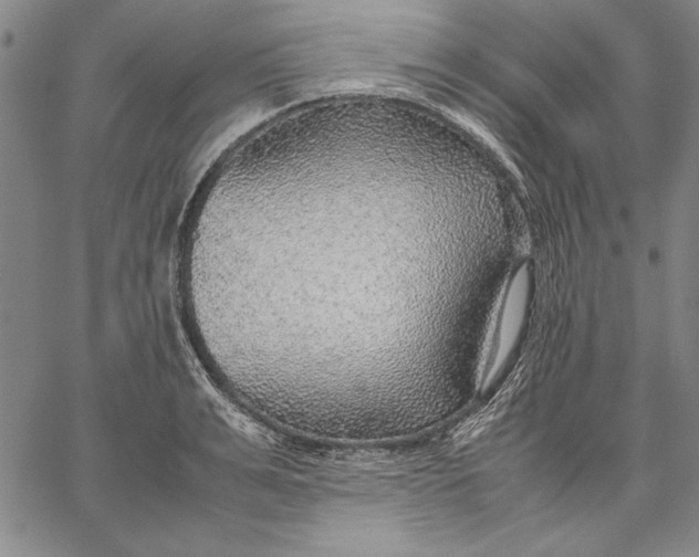 X0000067380991200604211603
