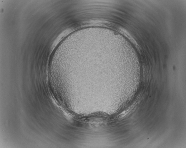 X0000067380994200604211603