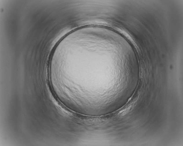 X0000067380999200604211603