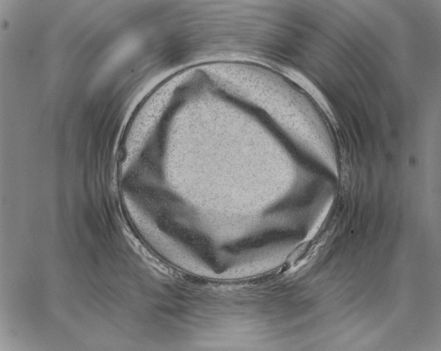 X0000067381004200604211603