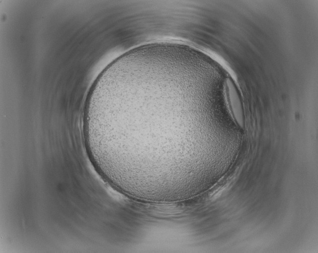 X0000067381007200604211603