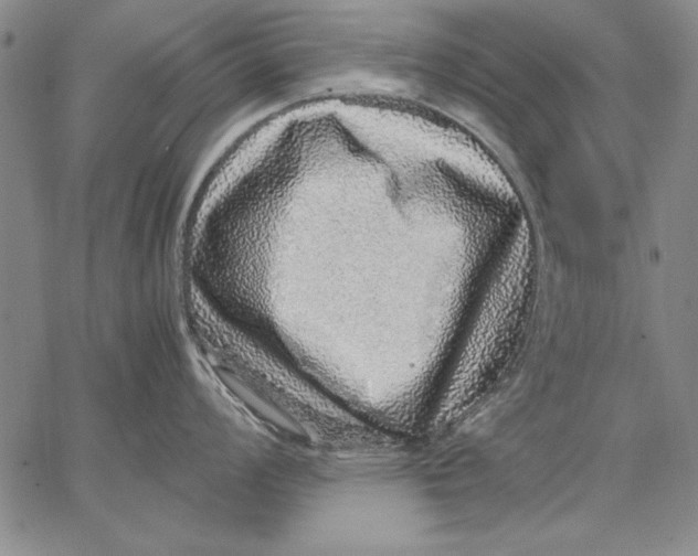 X0000067381008200604211603