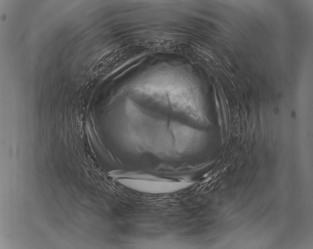 X0000067381013200604211602