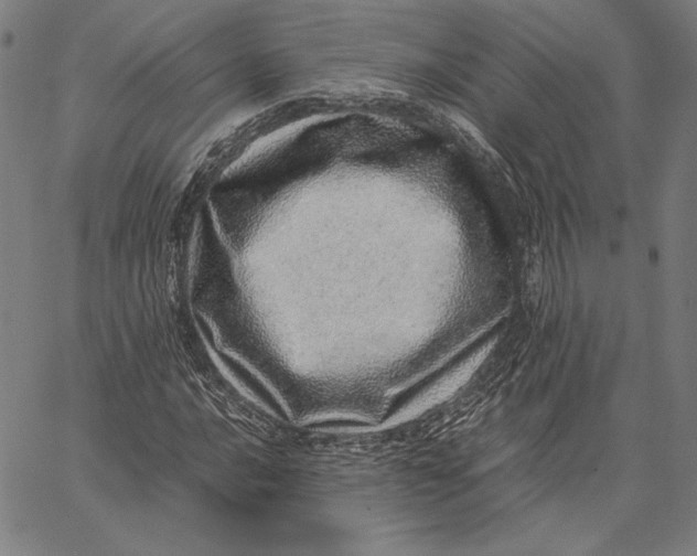 X0000067381016200604211602