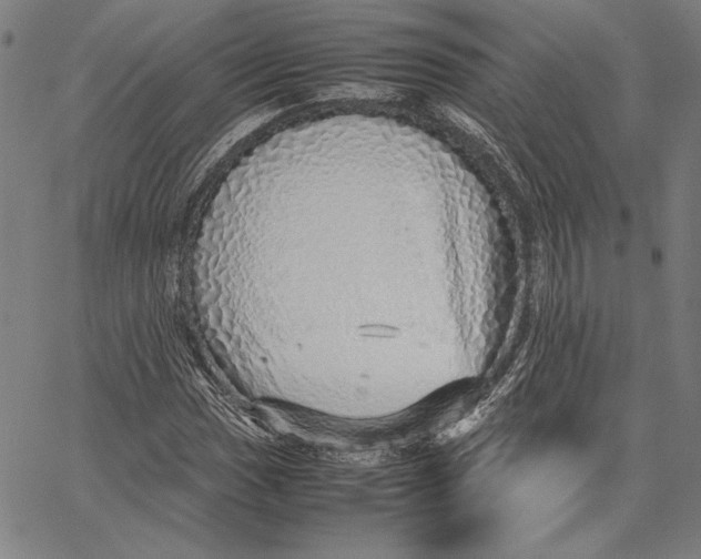 X0000067381017200604211602