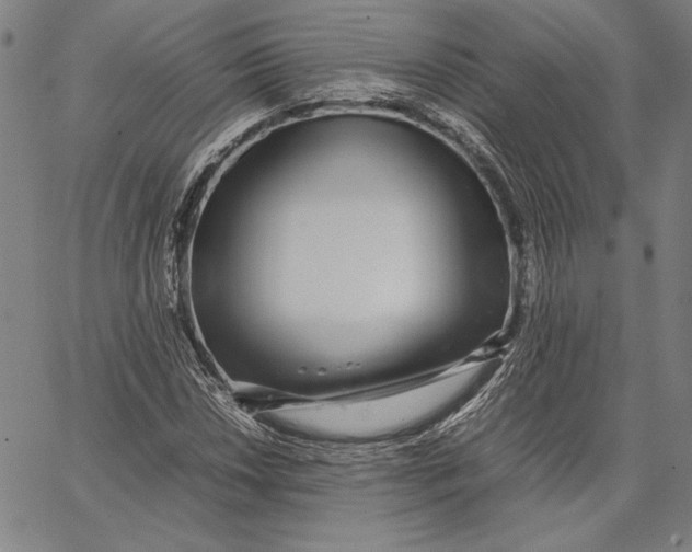 X0000067381018200604211602
