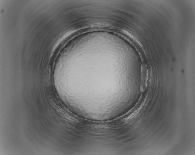 X0000067381021200604211602
