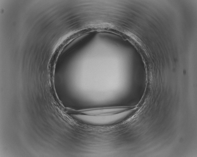 X0000067381022200604211602