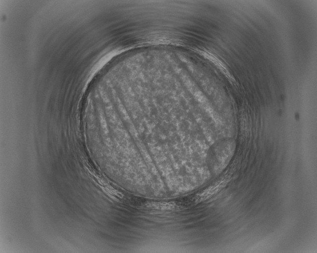 X0000067381023200604211602