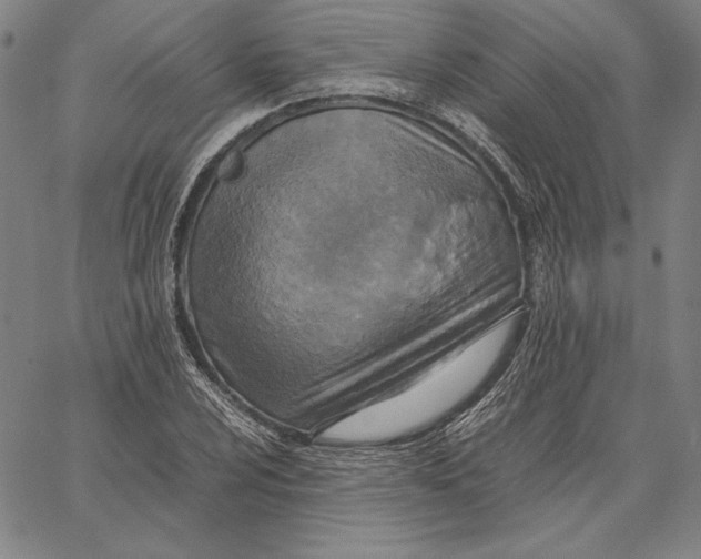X0000067381024200604211602