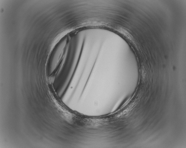 X0000067381030200604211602