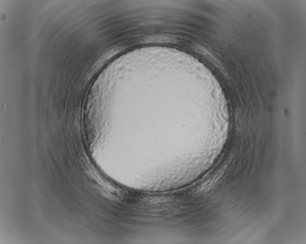X0000067381033200604211602
