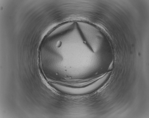 X0000067381038200604211603