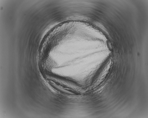 X0000067381040200604211603