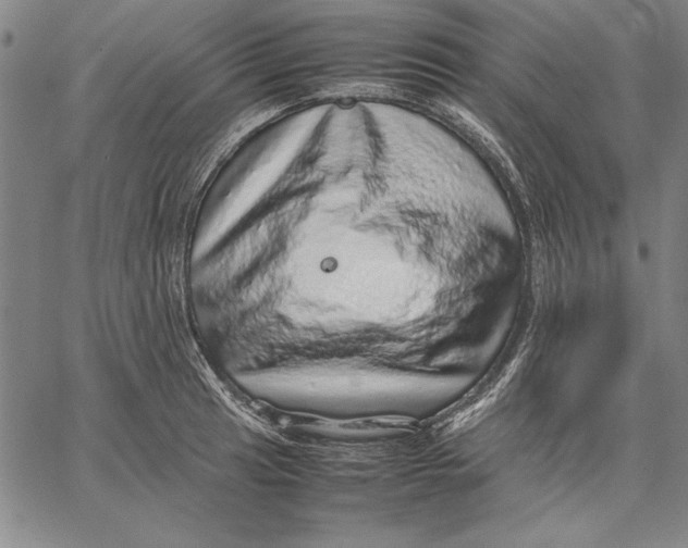 X0000067381041200604211603