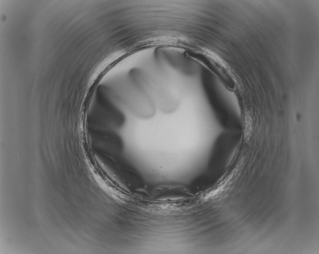 X0000067381042200604211603