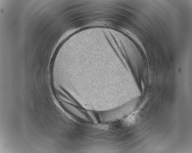 X0000067381045200604211603