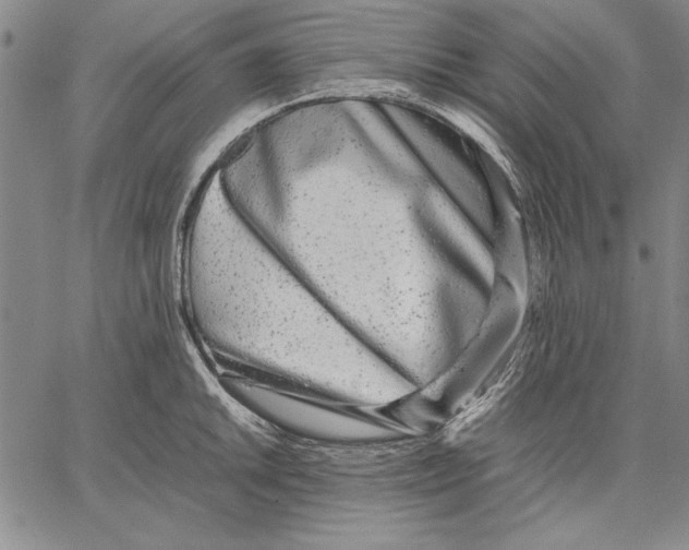 X0000067381046200604211603