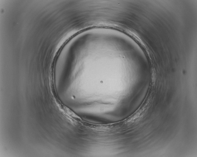 X0000067381048200604211603