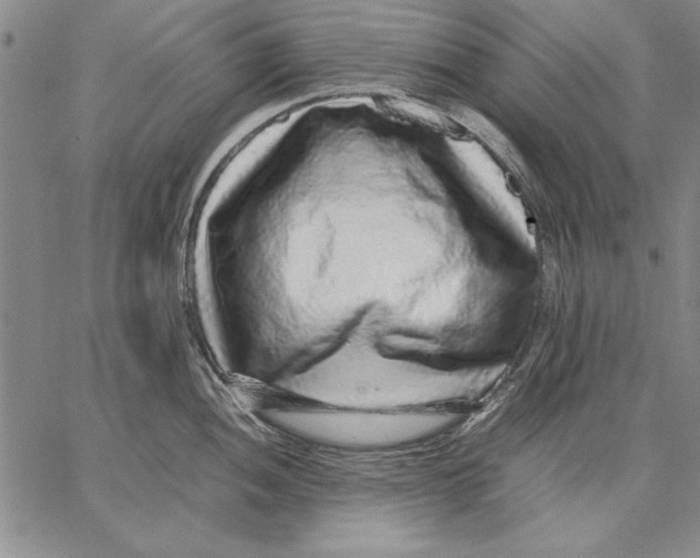 X0000067381052200604211603