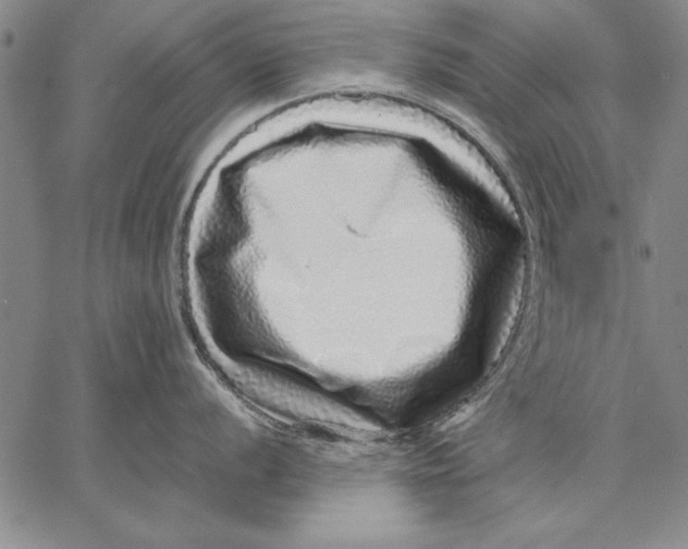 X0000067381056200604211603