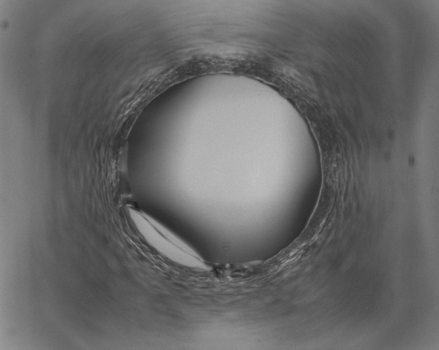 X0000067381061200604211602