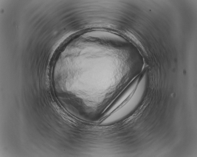 X0000067381068200604211602