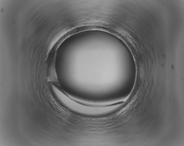 X0000067381069200604211602