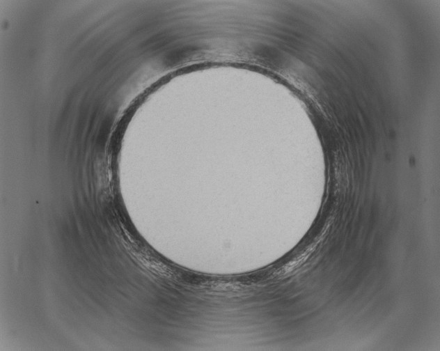 X0000067381070200604211602