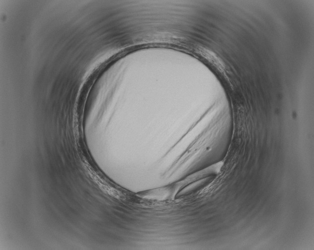 X0000067381072200604211602