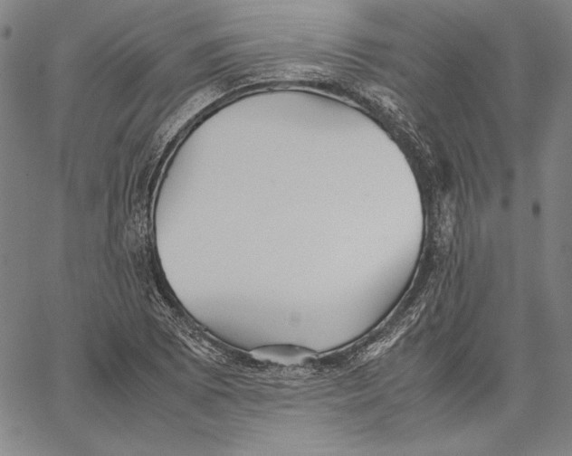 X0000067381073200604211602